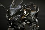 Kawasaki Ninja1100SX 2026 RSI Bodis/ Edition ,,HP150,, - KAWASAKI 1100 R