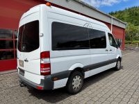 Sprinter 316 Bild 2