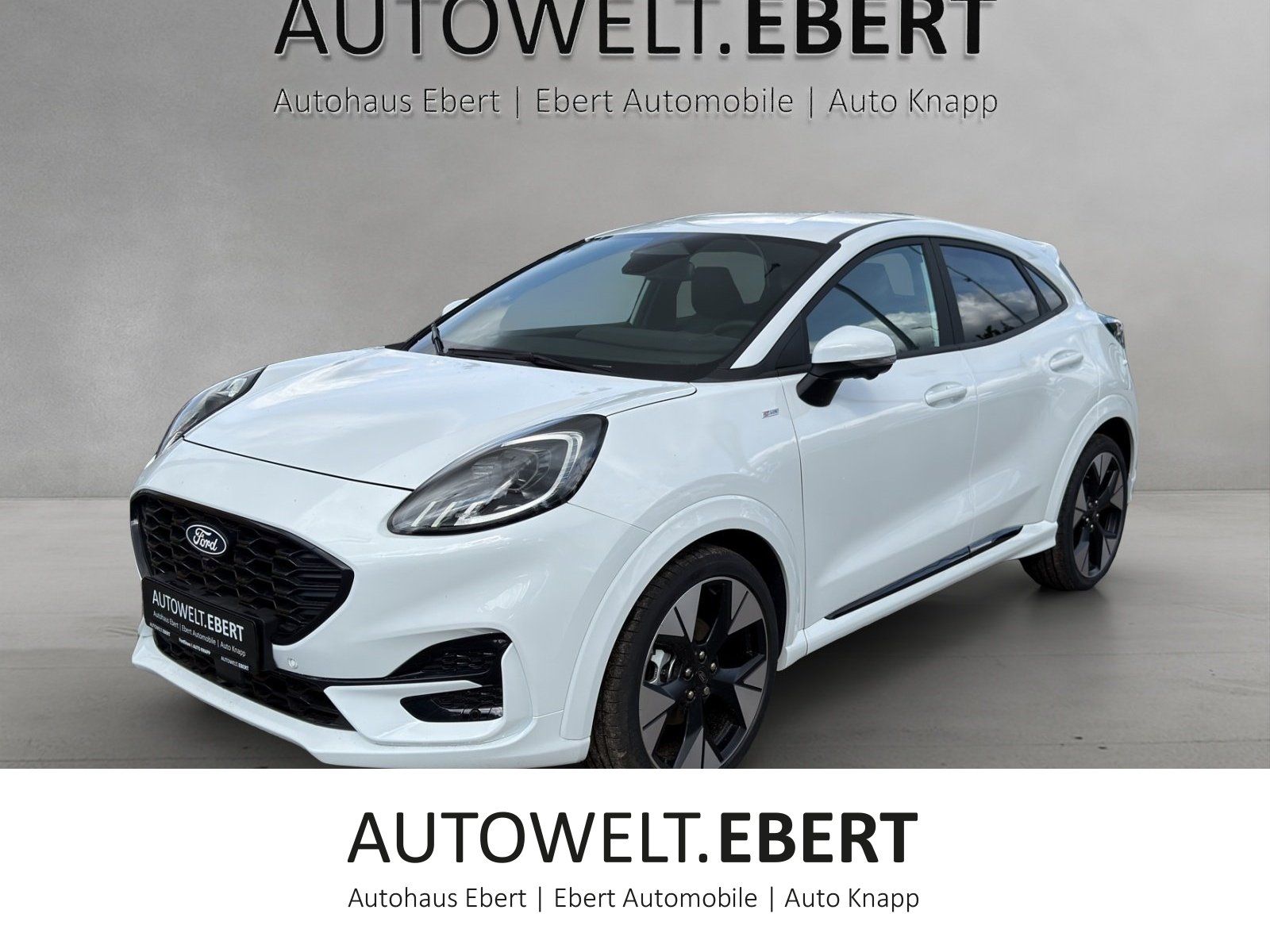 Ford Puma ST-Line X LED Matrix 19Zoll Winter Paket