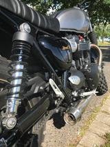 Triumph Street Cup  - TRIUMPH STREET CUP