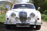 Jaguar Daimler 2.5 V8 / MK2 Rechtslenker Top - Jaguar: Mk2