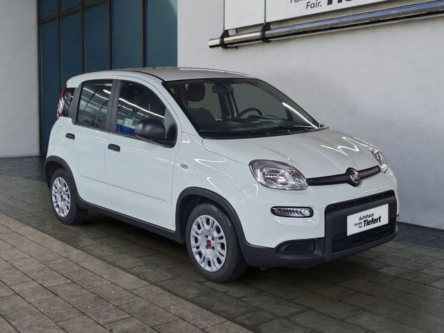 Panda 1.0 GSE Hybrid City Plus (312)