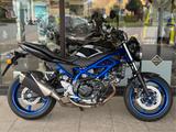 Suzuki SV 650 *1.Hand*Service + TÜV NEU*Top Zustand* - SUZUKI SV 650 N