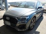 Audi Q5 45TFSi Q 2x S LINE BLACK MTRX/ACC/360/AIR-SUS - Audi Q5 Gebrauchtwagen in Dortmund