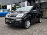 Fiat Panda 1.0 Hybrid MY'25 + City Paket *PDC hi*ZV*B - Fiat Panda in Hagen