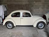 Volkswagen Käfer - gebrauchte VW Käfer aus dem Jahr 1975