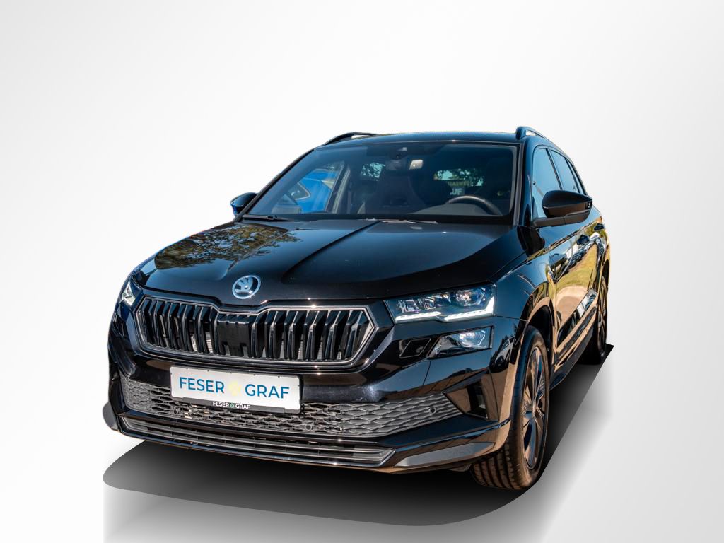 Skoda Karoq - Bild 14
