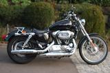 Harley-Davidson Sportster XL 1200C - HARLEY-DAVIDSON 2005 SPORTSTER 1200