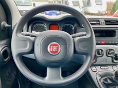 Fahrzeugabbildung Fiat Panda 1.0 Hybrid City Plus KLIMA RADIO ISOFIX