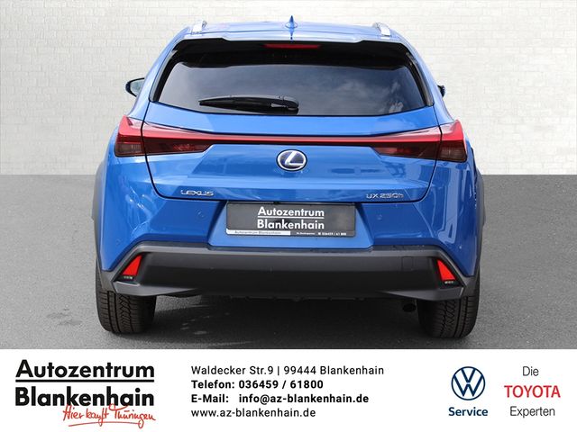 UX 250h LED*ACC*SHZ*Apple CarPlay