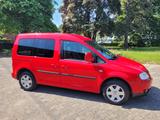 Volkswagen Caddy Life Gewinner Caddy - Volkswagen Caddy: Gewinner