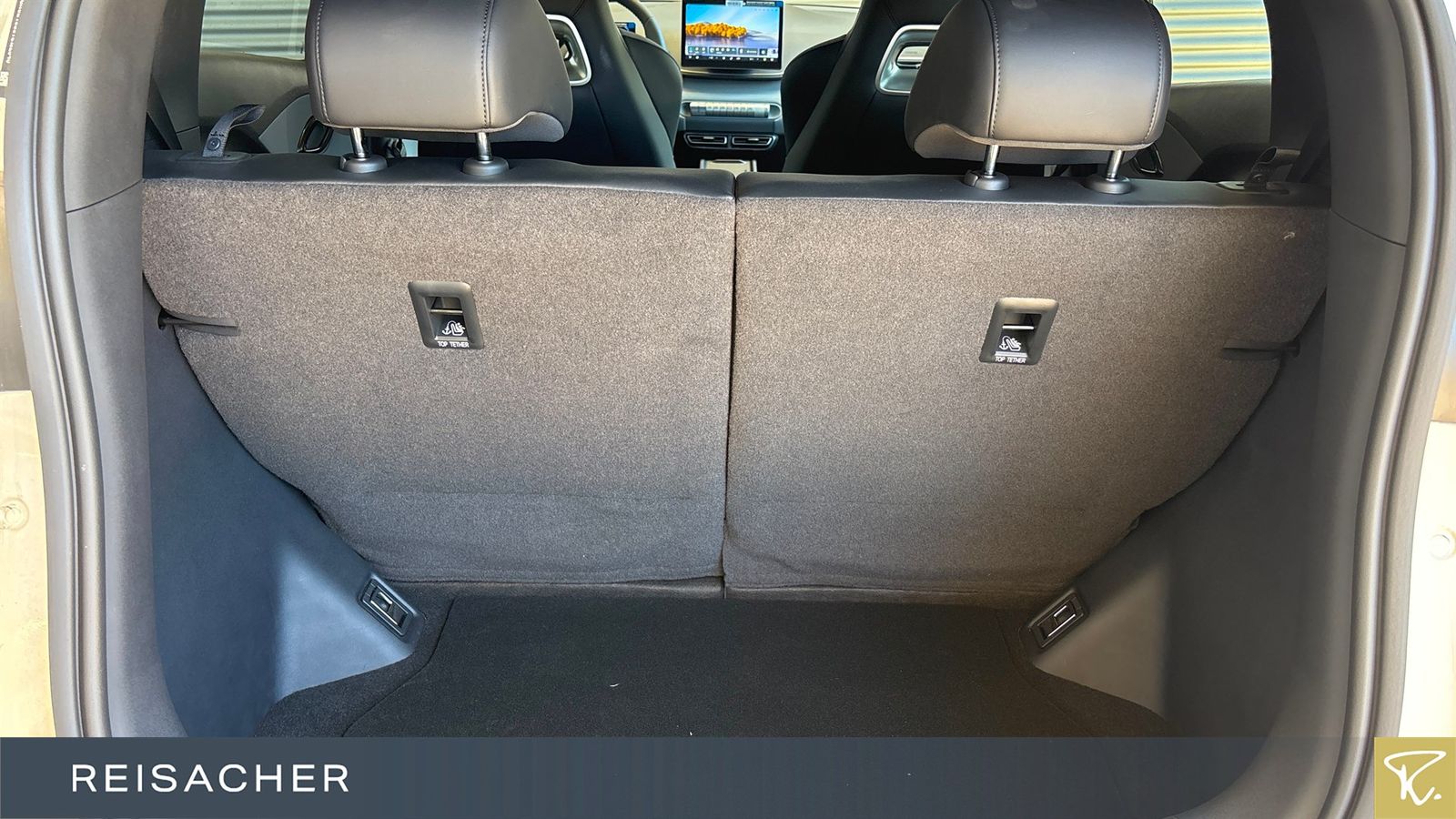BYD DOLPHIN SURF
