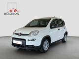 Fiat Panda 1.0 GSE Hybrid + Komfortpaket - Fiat Panda Jahreswagen