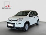Fiat Panda 1.0 GSE Hybrid + Komfortpaket - Fiat Panda Jahreswagen