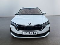 Skoda Octavia - Vorschau Bild 6