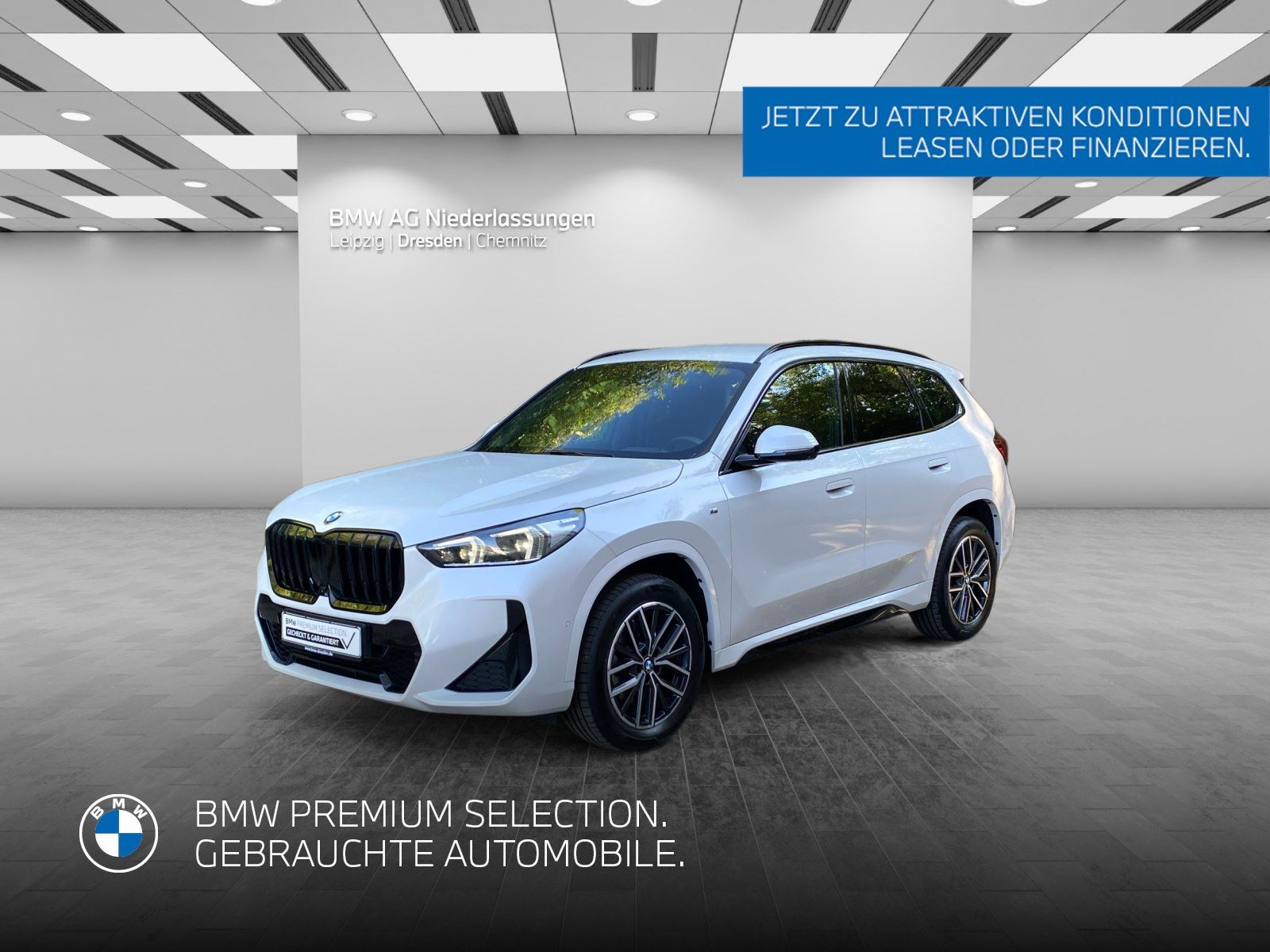 BMW X1 sDrive20i M Sport Driv.Assist.Prof Head-Up
