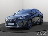 Lexus UX 250h Style Edition LENKRADHEIZUNG LED Carplay - Lexus UX: Style Edition