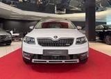 Skoda Octavia Scout 4x4 ACC DAB Bi-Xenon 2.HAND
