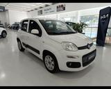 Fiat FIAT Panda 1.3 MJT 80 CV S&S Easy - Fiat Panda EASY mit Diesel-Antrieb