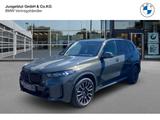 BMW X5 xDrive30d M Sport HarmanKardon/Driv.Assist.Pr - BMW X5: Sport