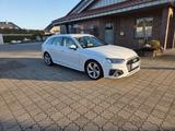 Audi A4 40 TFSI S line LED Virtual Cockpit - Audi A4: Weiß, Kombi, Line
