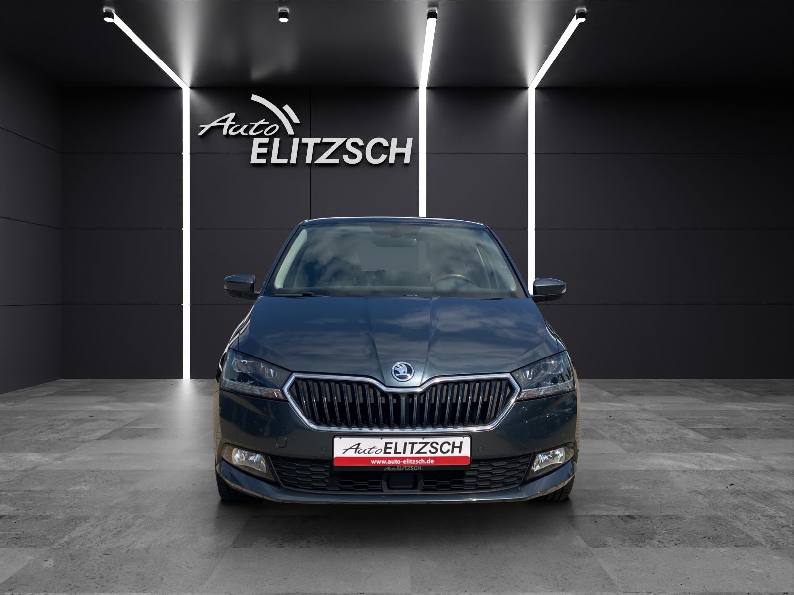 Fahrzeugabbildung SKODA Fabia TSI Drive 125 Best-Of Navi Pano Climatroni