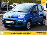 Fiat Panda 1.0 GSE Hybrid 5-SITZER KLIMA TEMP PDC SHZ - Fiat Panda: Sitzer