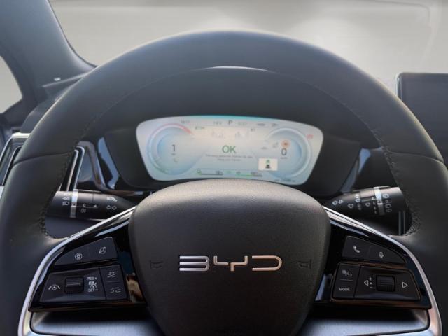 BYD Seal U 160 1.5 Boost (160 kW 218 PS) PHEV ( HUD 