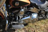 Harley-Davidson Fatboy  FLSTF - Angebote entsprechen deinen Suchkriterien