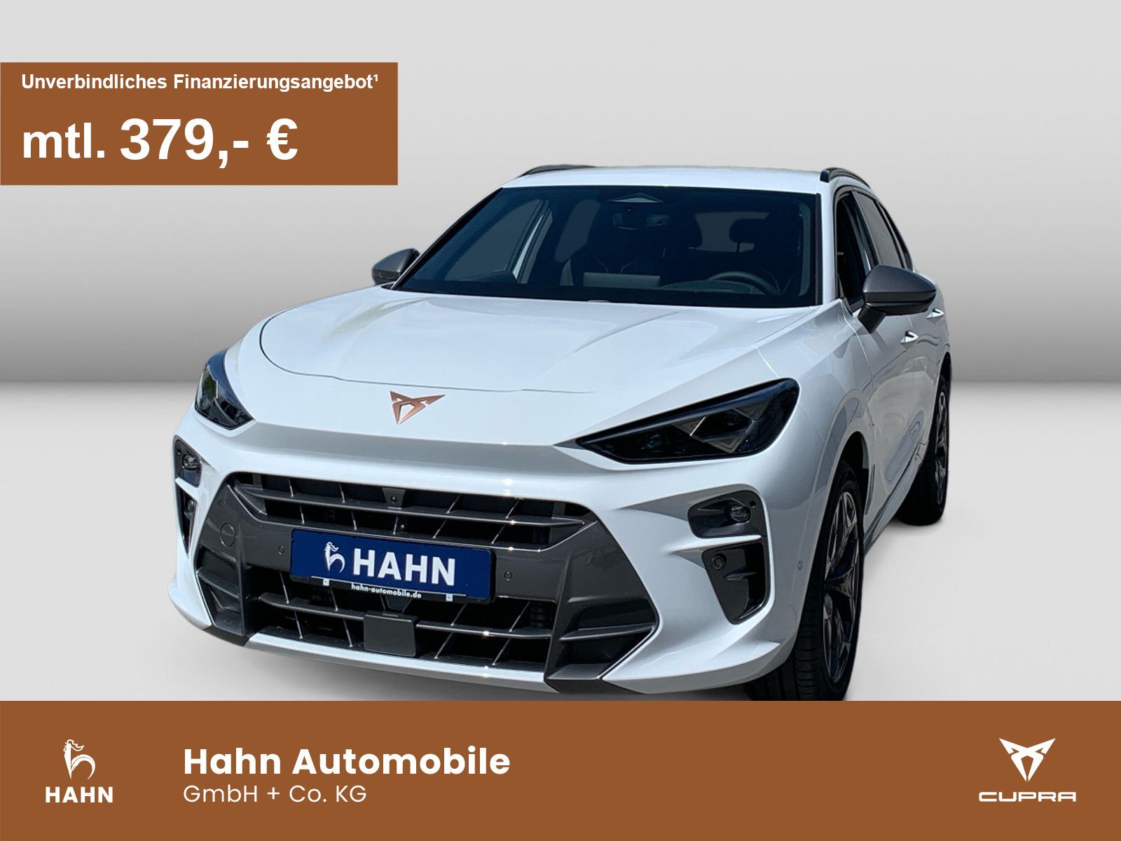 Cupra Terramar VZ 2.0 TSI 265PS Virtual Cockpit / AHK
