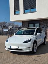 Tesla Model Y Long Range Dual Motor / AHK / TÜV neu  - Tesla Model Y in Bremen