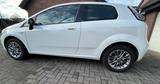 Fiat Punto 1.2 8V POP POP - gebrauchte Fiat Punto aus dem Jahr 2011