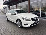 Mercedes-Benz A 180 BlueEfficiency Navi Teilleder - Mercedes-Benz A 180: Kleinwagen