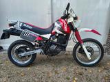 Suzuki DR650 Dakar - SUZUKI 650 DR