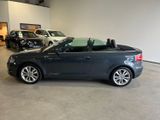 Audi A3 1.8 TFSI SHZ PDC WINDSCHOTT - Audi A3 aus 2010: Cabrio