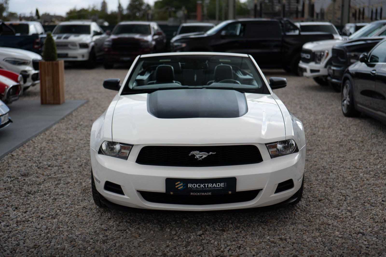 Fahrzeugabbildung Ford Mustang 3.7 V6 GT Cabrio | TÜV 2028 | 4Season