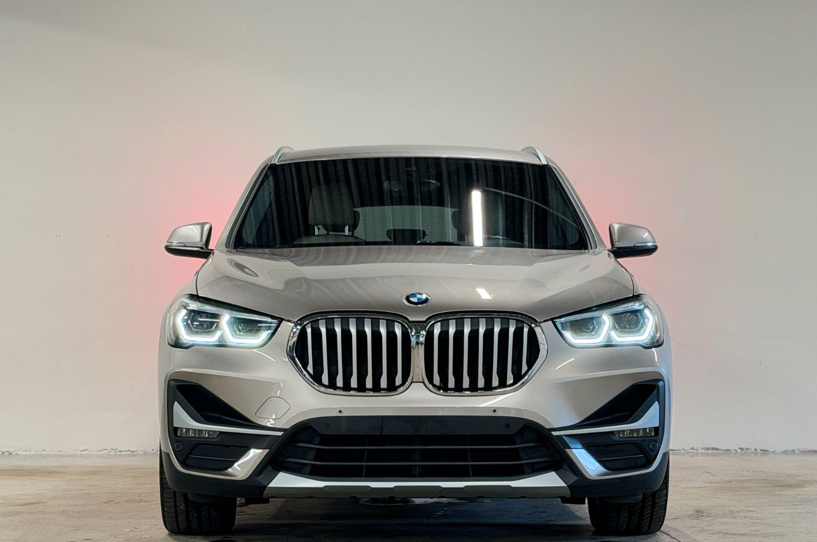 BMW X1 xDrive25e xLine imagem 2