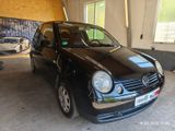 Volkswagen Lupo 1.4 AUTOMATIK 2.Hand - Volkswagen Lupo aus 2001