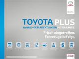 Toyota C-HR 2.0 Hybrid Team Deutschland - Toyota C-HR: Team Deutschland