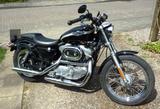 Harley-Davidson SPORTSTER 883 HUGGER - XLH - 100th Anniversary - Offers matching your search criteria