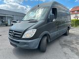 Mercedes-Benz Sprinter II Kasten 316 LGT LPG Gas ab Werk - Mercedes-Benz Sprinter mit Benzin-Antrieb