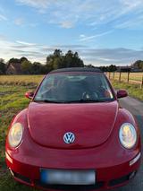 Volkswagen Vw   New Beetle Cabriolet 1.6 - Volkswagen New Beetle aus 2007
