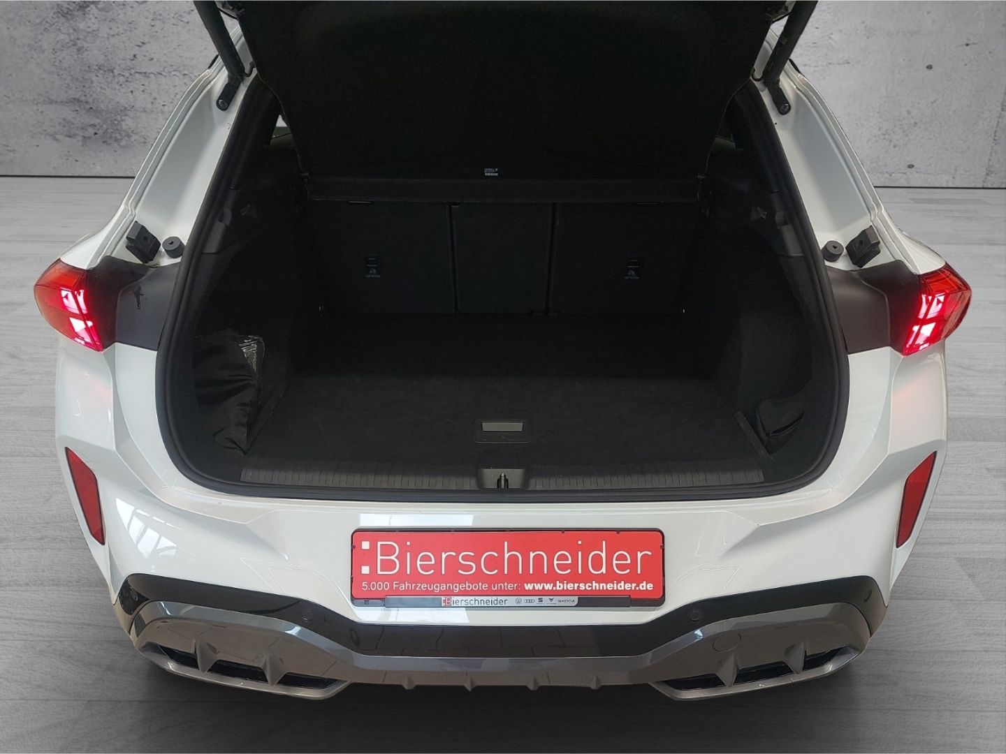 Cupra Terramar - Bild 18