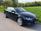 Audi A3 Cabriolet 1,2 TFSI - Audi Cabriolet aus 2010