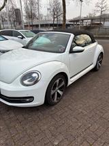 Volkswagen Beetle 1.2 TSI CUP Cabriolet CUP - Volkswagen Beetle in Bonn