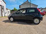 Fiat Punto 1.2 8V Classic - Fiat Punto: Classic