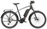 Diamant Zing Deluxe Gen 2 (Einstieg: hoch) L - Diamant E-Bikes
