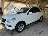 Mercedes-Benz Mercedes ML 250 - Mercedes-Benz ML 250 aus 2015