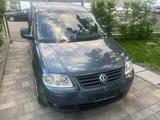 Volkswagen Caddy Maxi - Volkswagen Caddy Maxi aus 2008