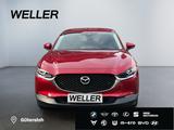 Mazda CX-30 e-SKYACTIV-G 2.0 M HYBR 150 SELECTION *AHK - Mazda CX-30 in Bielefeld